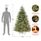 6.5 ft. Pre-Lit Frasier Grande Full Artificial Christmas Tree, Clear Lights